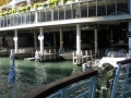 Chicago00275