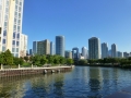 Chicago00319
