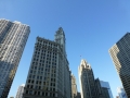 Chicago00424