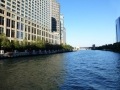Chicago00431