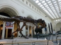 Chicago00454