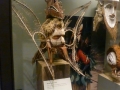 Chicago00537