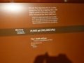 Chicago00556