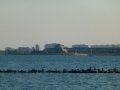 Chicago00618