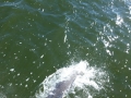 Apalachicola00030