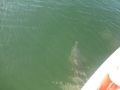Bradenton_FL00002