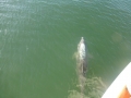Bradenton_FL00004