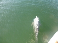Bradenton_FL00005