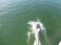 Bradenton_FL00006