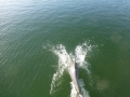 Bradenton_FL00011