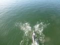 Bradenton_FL00012