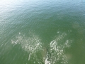 Bradenton_FL00013