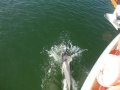 Bradenton_FL00017