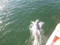 Bradenton_FL00026