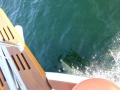 Destin00203