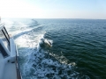 Destin00208