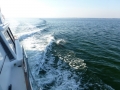 Destin00212