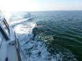 Destin00213