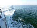 Destin00216
