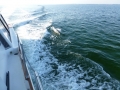 Destin00217