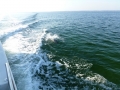 Destin00222