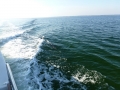 Destin00225