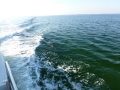 Destin00226