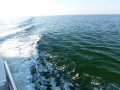 Destin00228