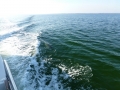 Destin00230