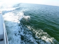 Destin00231