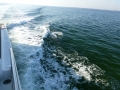 Destin00232
