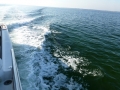 Destin00233