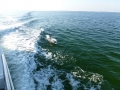 Destin00234