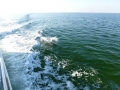 Destin00236