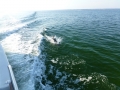 Destin00240