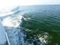 Destin00242