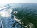 Destin00244