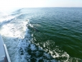 Destin00246