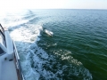 Destin00248