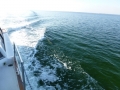 Destin00252