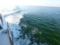 Destin00253