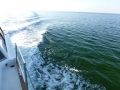 Destin00254