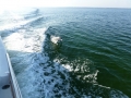Destin00255