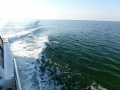 Destin00264