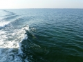 Destin00267