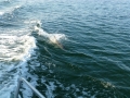 Destin00271
