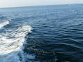 Destin00274