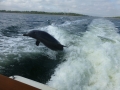 Panama_City00023