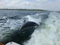 Panama_City00025