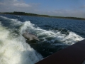 Panama_City00038